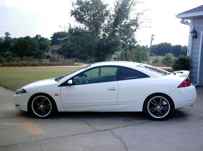 7569030091_large.jpg 7569030091_large.jpg