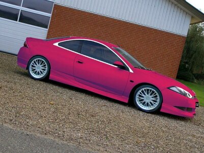 pinkcougar.jpg pinkcougar.jpg