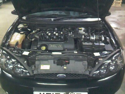 Photo-0100.jpg Photo-0100.jpg