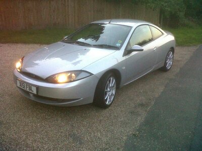 cougar and clear eggs.jpg