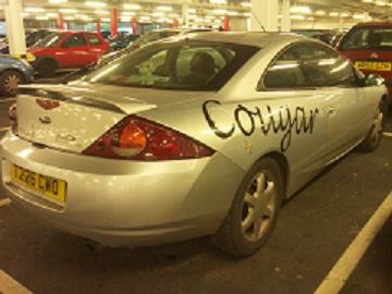 Yate Cougar.JPG