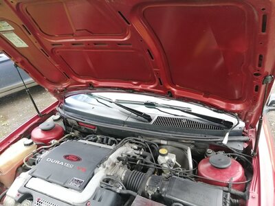 A6F94B9C-0A06-42D3-A98D-A3DA31AB5A9B.jpeg A6F94B9C-0A06-42D3-A98D-A3DA31AB5A9B.jpeg