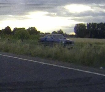 CougarSpot20200804.jpg CougarSpot20200804.jpg