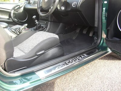 MYCOUGAR017.jpg MYCOUGAR017.jpg