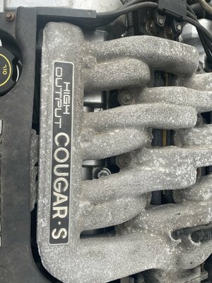 3D738038-ECCD-4C59-8493-53F6BA1EE7C4.jpeg 3D738038-ECCD-4C59-8493-53F6BA1EE7C4.jpeg