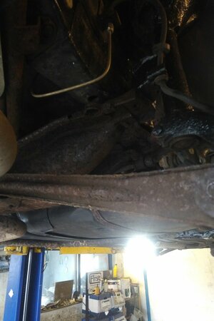 IMG_20211228_1036147.jpg IMG_20211228_1036147.jpg