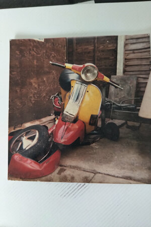 IMG_20190601_1041522.jpg IMG_20190601_1041522.jpg