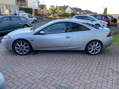 D19DB355-F833-42F7-9CD8-E6A65F93A816.jpeg D19DB355-F833-42F7-9CD8-E6A65F93A816.jpeg