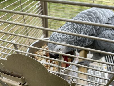 2E80F889-5E48-4AF3-AF02-774C1369826B.jpeg 2E80F889-5E48-4AF3-AF02-774C1369826B.jpeg