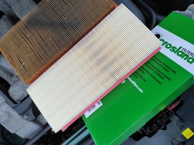 Image-3780.jpg Image-3780.jpg