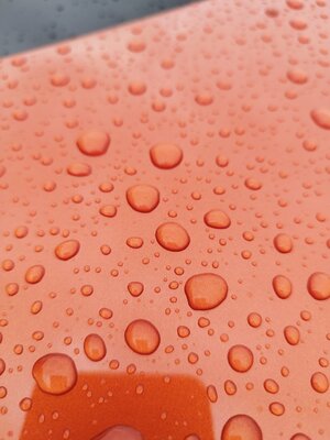 IMG_20230827_132644.jpg IMG_20230827_132644.jpg