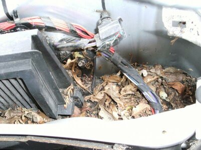 Pollen filter 01.jpg