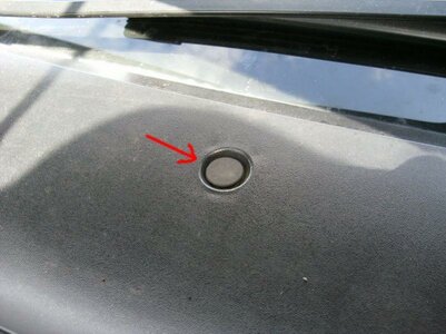 Pollen filter Screw Cap 04.jpg