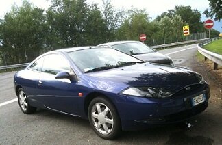 Cougar in viaggio.JPG