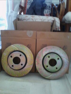 Freni ant Cougarx.jpg