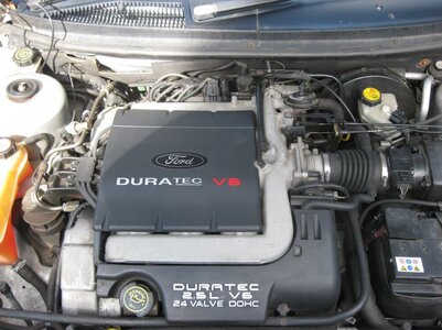 IMG_0943.jpg IMG_0943.jpg