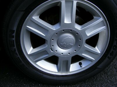 2007_0101cougar-sept0005.jpg 2007_0101cougar-sept0005.jpg