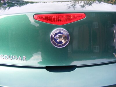 2007_0101cougar-badge0065.jpg 2007_0101cougar-badge0065.jpg