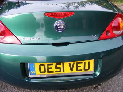 2007_0101cougar-badge0066.jpg 2007_0101cougar-badge0066.jpg