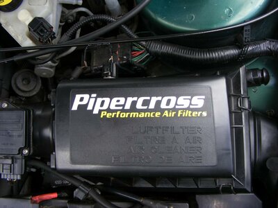 2007_0101pippercross0121.jpg