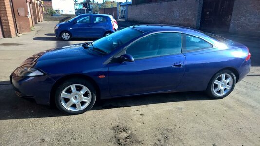 cougar melina bliue.jpg