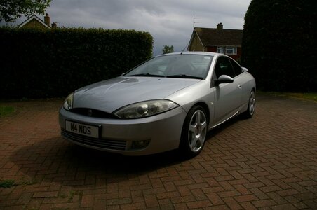 IMGP1385 [Email (1024x768)].jpg