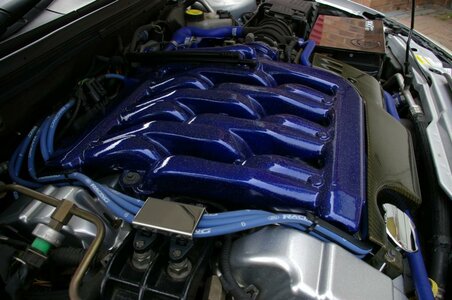 IMGP1358 [Email (1024x768)].jpg