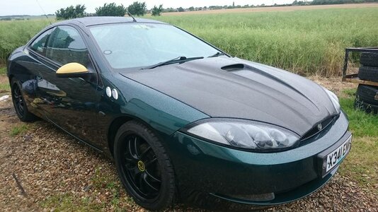 13442271_10205361429349992_3432191279461069854_n (1).jpg