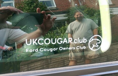 Cougar15.jpg Cougar15.jpg