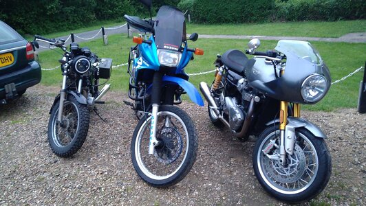 441551185_10220599671136513_2120924482771131452_n.jpg 441551185_10220599671136513_2120924482771131452_n.jpg