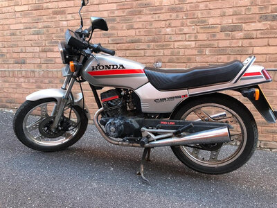 hond superdream.jpg hond superdream.jpg