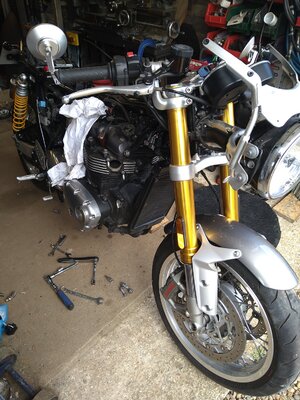 DSC_2915.JPG DSC_2915.JPG