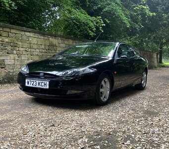 IMG_5129.jpeg