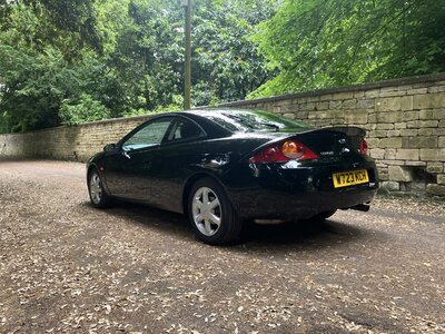 IMG_5134.jpeg