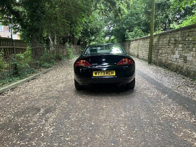 IMG_5132.jpeg