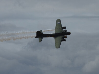 LG-SallyB-002.jpg LG-SallyB-002.jpg