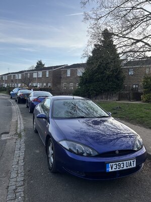 IMG_6225.jpeg IMG_6225.jpeg