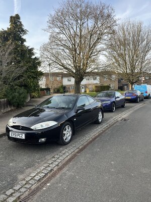 IMG_6223.jpeg IMG_6223.jpeg