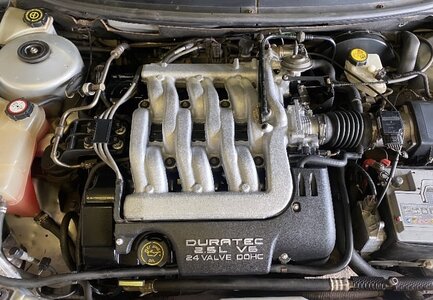 IMG_9776.jpeg