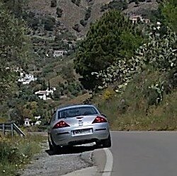 WP_20170423_13_51_40_Moment (3).jpg