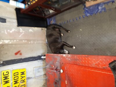 20170804_143507.jpg