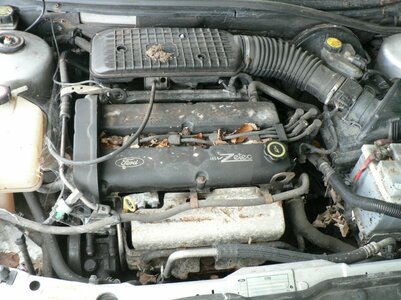 Zetec2.jpg