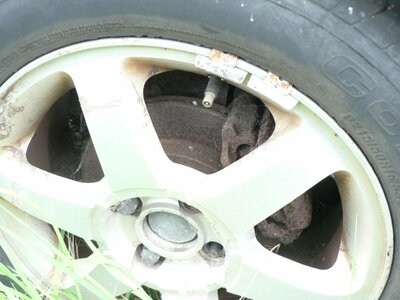 Zetec3.jpg