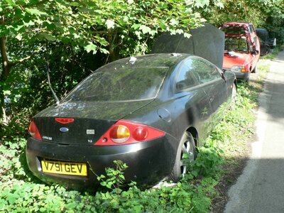 P1050194.jpg P1050194.jpg