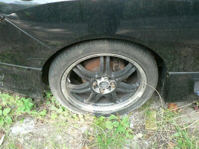 T81 HTR.jpg T81 HTR.jpg