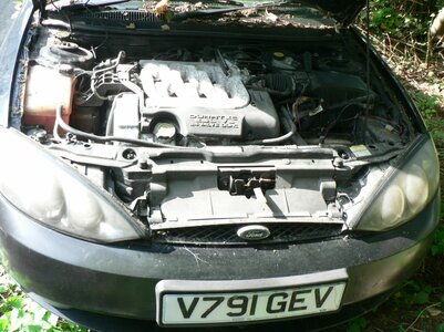 V791 GEV+4.jpg V791 GEV+4.jpg