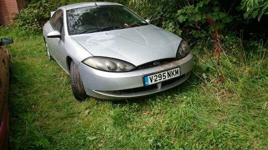 Zetec runner.jpg