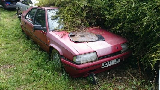 DSC_0003.jpg DSC_0003.jpg