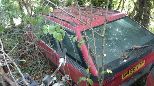 DSC_0009.jpg DSC_0009.jpg