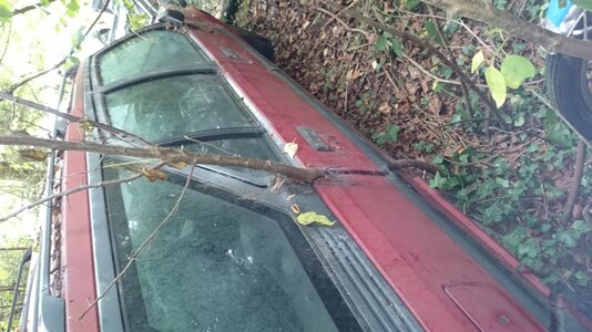 DSC_0006.jpg DSC_0006.jpg